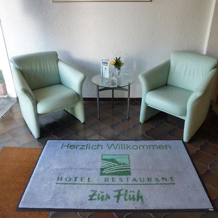 Hotel Zur Flueh Bad Sackingen Exterior photo